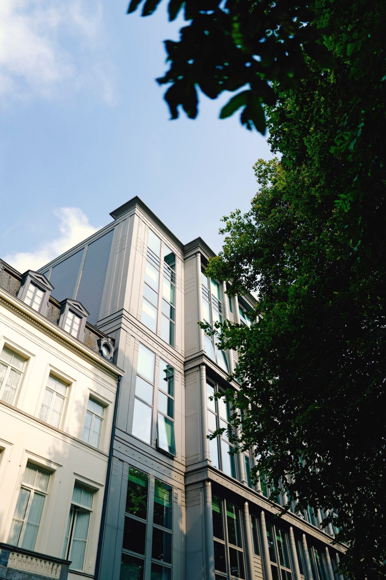 Heller Altbau mit Gauben neben einem hohen Gebäude mit großen Fenstern, von unten gesehen, rechts eine Baumkrone vor blauem Himmel