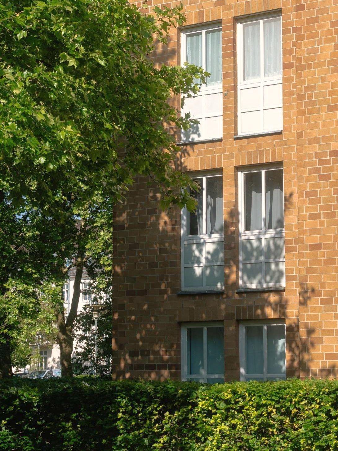 Wohnhaus aus hellem Klinker mit Baumschatten auf der Fassade, davor ein Baum und eine Hecke